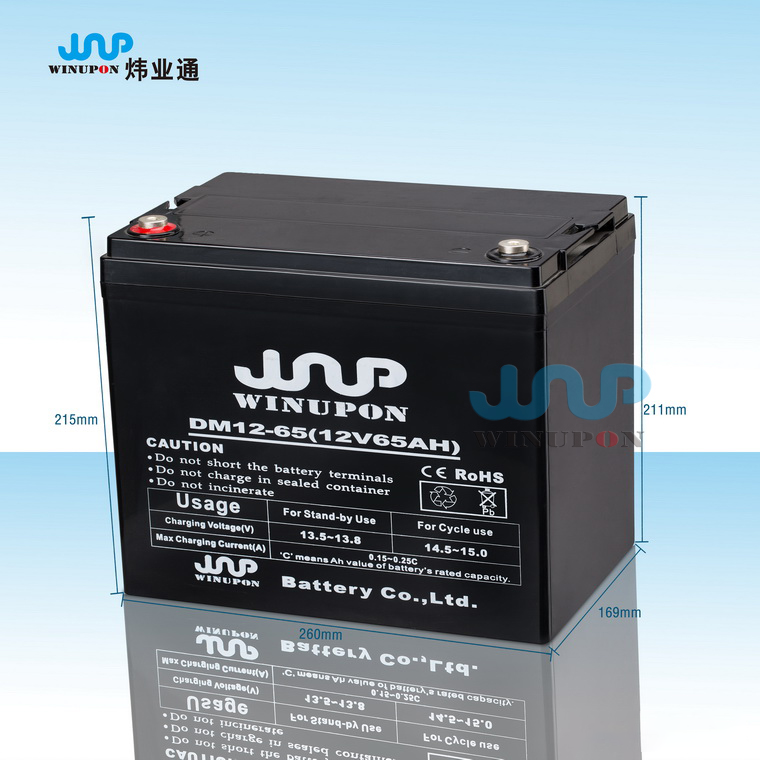 DM12-65(12V65AH)
