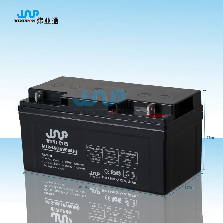M12-65(12V65AH)